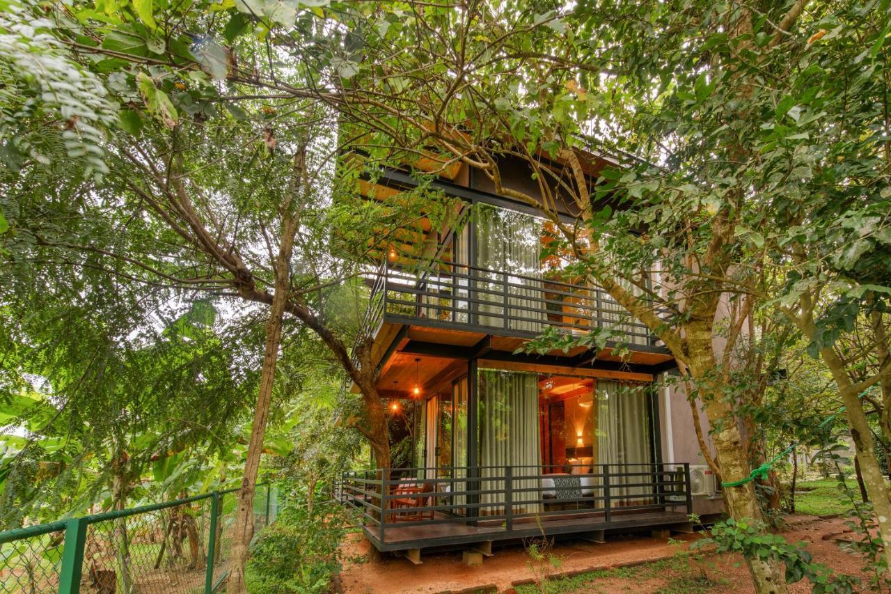 Atha Resort Сигирия Екстериор снимка A tree house at the resort